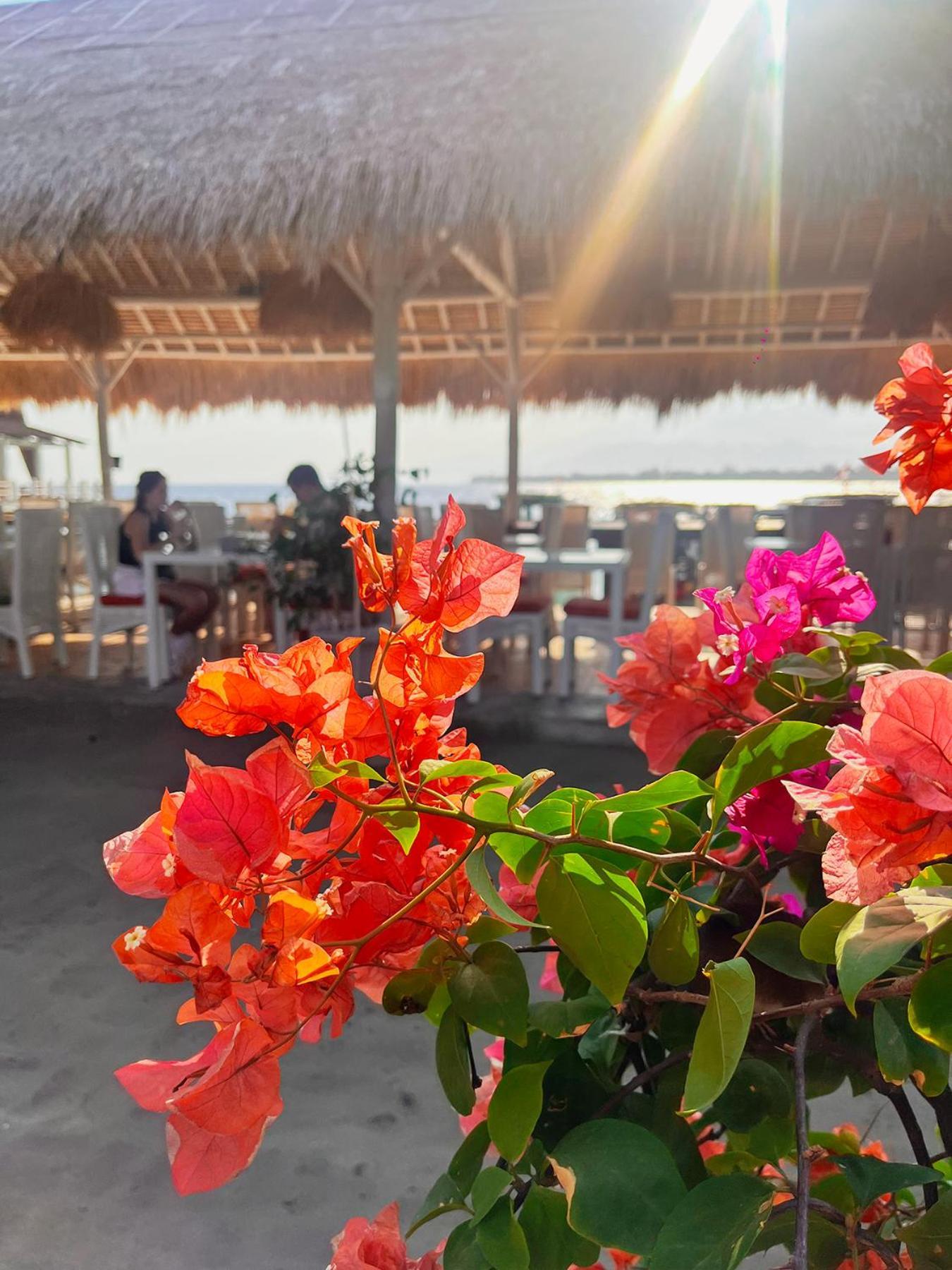 Kura Kura Resort Gili Meno Luaran gambar